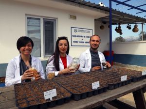 Okulların yerel tohumu Muğla Büyükşehirden