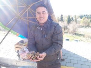 Bağışıklık sistemini güçlendiren yer elması ilgi görüyor