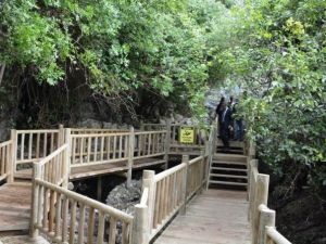 Kuşadası’nda piknik ve mesire alanları halkın kullanımına kapatıldı