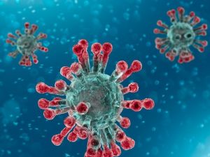 Koronavirüsün medya karnesi