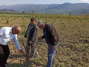 Üreticilerin gözü don ve soğuk tehlikesinde