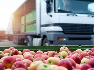 Ticaret normal akışına dönüyor