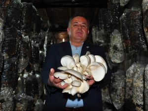 Hobi olarak başladığı mantar üretiminde taleplere yetişemiyor
