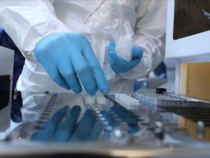 Koronavirüs hızlı tanı kitleri Muğla’da