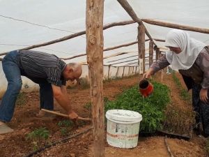 Korana virüs salgını üretmelerine engel olmuyor