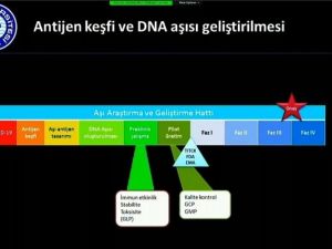 Ege’de DNA aşı projesi oluşturuldu