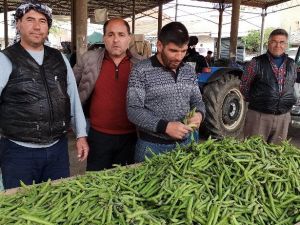 Korona virüsü baklayı da vurdu