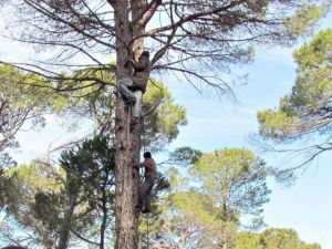 Ölüm riskiyle iç içe yaşayan kozalak emekçilerine teknik destek verilmeli