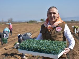 Tarımsal ürün alanlarına yerinde inceleme