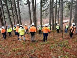 Ormanda işbaşı eğitimi