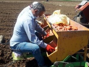 Tedbirlerini alıp üretime devam ediyorlar