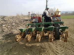Hisarcık’ta pancar ekim işlemleri tamamlandı
