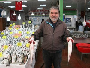 Korona virüse rağmen balık hali esnafı satışlardan memnun