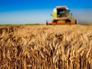 FAO Temsilci Yardımcısı Dr. Selışık: “Dünya gıda sanayini zorlu bir dönem bekliyor”