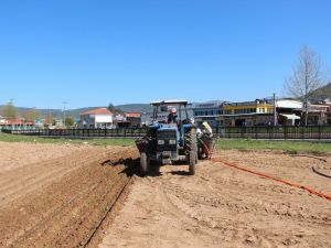 Muğla’da tarımsal faaliyetler devam ediyor