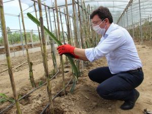 Kaymakam Şahin, hayalini toprakla buluşturdu