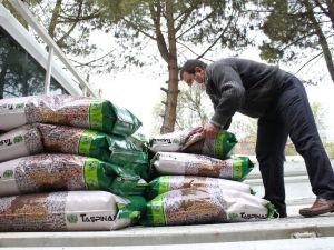 Kuru fasulye tohumu desteğiyle bölgeye 3 buçuk milyon lira katkı sağlanacak