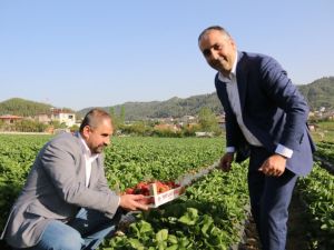 MHP’li Kaşıkçı: "Bizim ikiliğe değil, birliğe ihtiyacımız var"