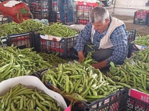 Sokağa çıkma yasağı sebze üreticilerini vurdu