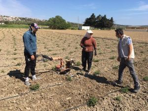 Çeşmeli üretici kısıtlama günlerinde de üretimde