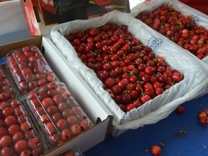 İhracata ilk giden kiraz Kemalpaşa’dan