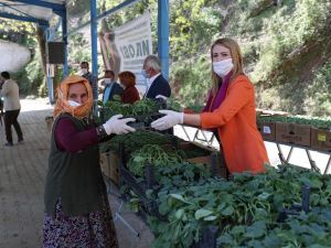 Merkezefendi Belediyesi 120 bin sebze fidesi dağıtımına başladı
