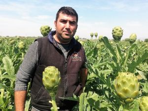 Enginarda kazanan aracı oldu; tarlada 1, pazarda 5 lira