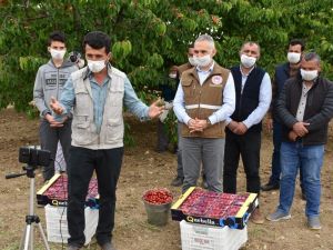 Bakan Pakdemirli kiraz üreticileri ile telekonferansta görüştü