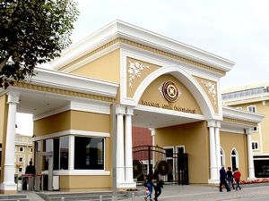 ABD’den kabul alan Türk öğrenciler online derslere katılacak