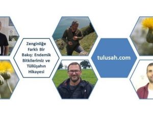 ADÜ’nün projesi TÜBİTAK tarafından desteklendi