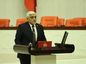 Milletvekili Dülger’in Anneler Günü mesajı