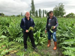 Korona’ya inat Salihli çiftçisi üretiyor