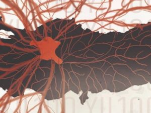 DPÜ GSF öğrencilerine Kültür ve Turizm Bakanlığından ödül