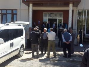 Çiftçilere ayçiçeği tohumu desteği