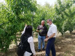 İl Tarım Müdürü Ökdem; “Üretimin her aşamasında çiftçimizin yanındayız”