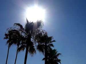 Aydın ve çevresine ‘Ani sıcaklık artışı’ uyarısı