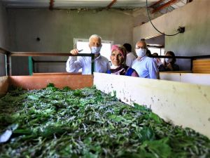 Başkan Gürün ipek böcekçiliği üreticileriyle buluştu