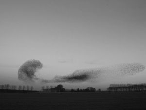 Ünlü saat markasının ‘Yeni Başlangıçlar’ temalı reklam filmi yayında