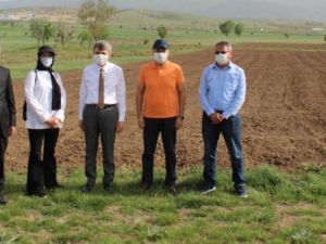 Pazarlar MYO’da glütensiz gıdalar üretilecek