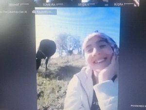İnek otlatırken EBA canlı derse katılan kıza, Bakan Selçuk’tan övgü