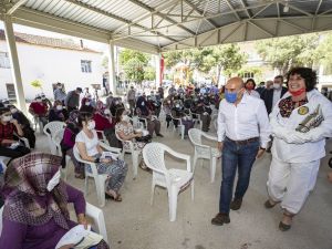 Üreticilere 464 arılı, 232 arısız kovan hibesi