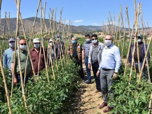 Bayramı tarlada geçiren çiftçilere ziyaret
