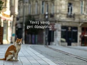 Bakan Koca: “Dünyada ilk vakanın görüldüğü günlerden öncesine dönmek henüz mümkün görünmüyor”