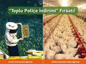 Arı yetiştiricileri ve kanatlı hayvan üreticilerine ’toplu poliçe indirimi’ fırsatı