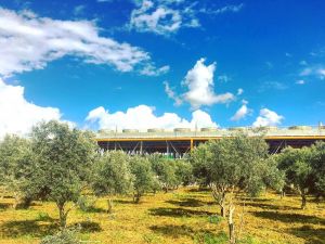 JESDER Başkanı Şentürk: "Aydınlıları jeotermal kaynaklarımızla ısıtmaya hazırız"
