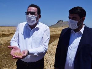 AK Parti’li Doğru: "Üreticilerimize desteğimiz artarak devam edecek"