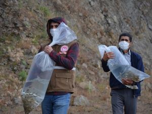 Demirci’de 9 bin balık yavrusu suyla buluştu