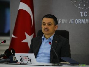Bakan Pakdemirli: "Ülkemiz süt ve süt ürünleri ihracatını yüzde 10 artırarak 357 milyon dolara taşıdı"
