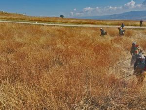 Laodikya’ya 100 kişilik ekiple büyük temizlik