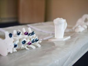 EÜ’de ortopedik tedavide yeni bir model geliştirildi